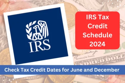 IRS Tax Credit Schedule 2024 - Check Tax Credit Dates for June and December